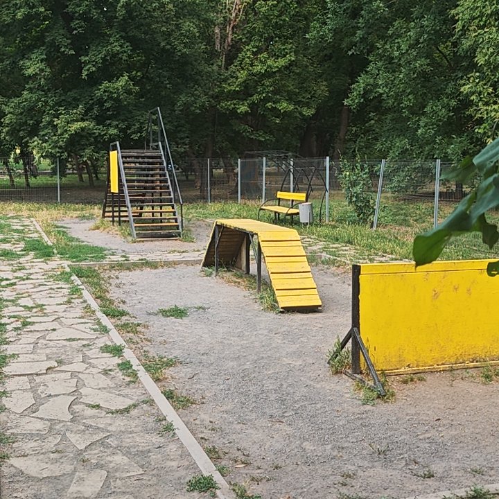 Площадка для выгула собак