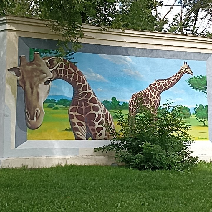 Подходящее граффити
